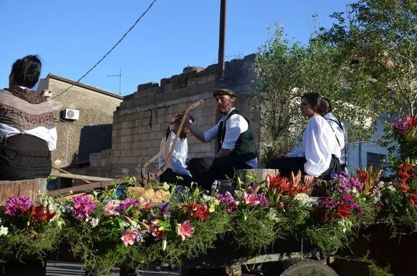 stock image Villacidro, Sardinia 06.02.2019: Cherry's festival with traditional costumes of Sardinia