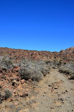 Güneşli bir günde çöldeki volkanik kaya oluşumlarının manzarası, Teide Ulusal Parkı, Tenerife