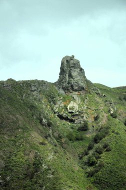 Tropikal dağlar Anaga kırsal Park, Tenerife, Kanarya Adaları'nda