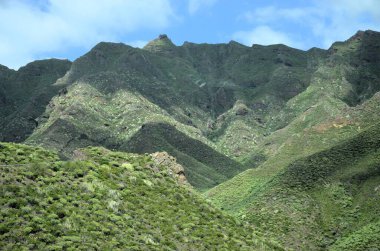 Tropical Mountains in Anaga Rural Park, Tenerife, Canary Islands clipart