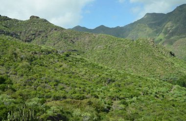 Tropikal dağlar Anaga kırsal Park, Tenerife, Kanarya Adaları'nda