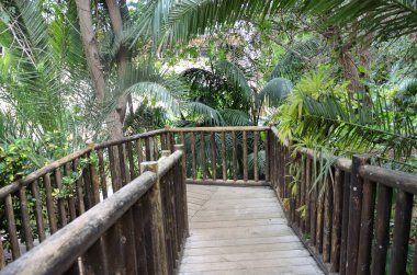 Anaga Doğal Parkı 'ndaki ahşap köprü.