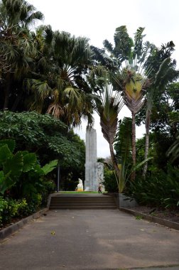 Santa Cruz de Tenerife Parkı (Parque Garca Sanabria) Kanarya adasında