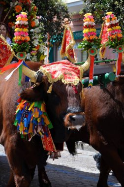 Sant 'Antioco, Sardinya 05.05.2019: 