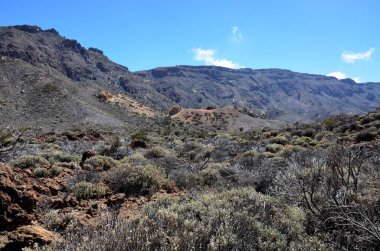 Güneşli bir günde çöldeki volkanik kaya oluşumlarının manzarası, Teide Ulusal Parkı, Tenerife