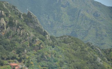 Tropikal dağlar Anaga kırsal Park, Tenerife, Kanarya Adaları'nda