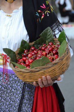 Villacidro, Sardinia 06.02.2019: Cherry's festival with traditional costumes of Sardinia clipart