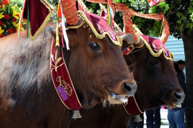 Sant 'Antioco, Sardinya 05.05.2019: 