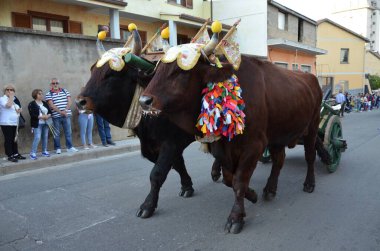 Villacidro, Sardunya 06.02.2019: Cherry 'nin geleneksel Sardunya kostümlü festivali