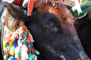 Sant 'Antioco, Sardinya 05.05.2019: 