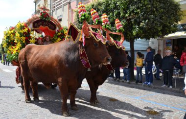 Sant 'Antioco, Sardinya 05.05.2019: 
