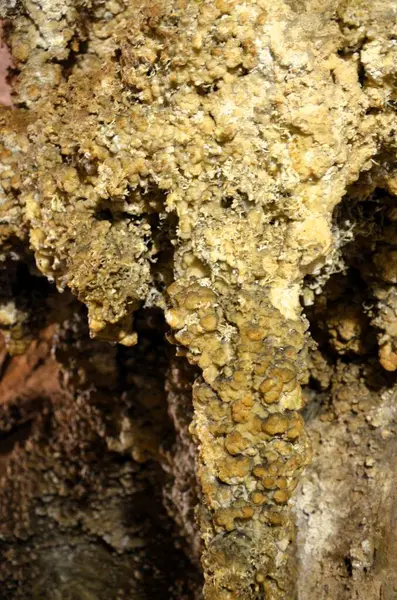 Çok sayıda sarkıt ile güzel eski karanlık mağaranın içi. Zuddas, İtalya, Sardunya Grotte di mi