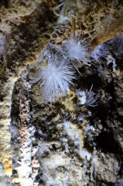 Çok sayıda sarkıt ile güzel eski karanlık mağaranın içi. Zuddas, İtalya, Sardunya Grotte di mi