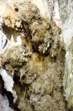 Çok sayıda sarkıt ile güzel eski karanlık mağaranın içi. Zuddas, İtalya, Sardunya Grotte di mi