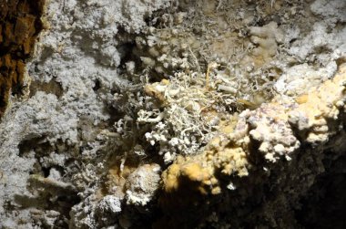 Çok sayıda sarkıt ile güzel eski karanlık mağaranın içi. Zuddas, İtalya, Sardunya Grotte di mi