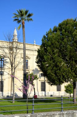 Eski Kraliyet Tütün Fabrikası Gerçek Fbrica de Tabacos de Sevilla 