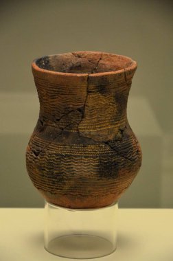 Cadiz, İspanya 03.26.2019: Cadiz İl Arkeoloji Müzesi