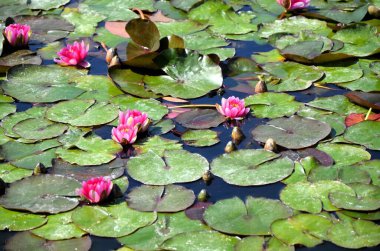 Seville, Marie Luisa Parkı