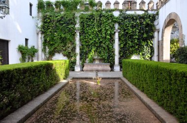 Real Alcazar De Sevilla 'da süs havuzlu bir avlu.