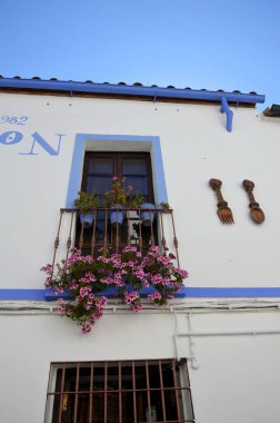 İlkbaharda çiçeklerle dolu balkonlar, Cordoba, İspanya