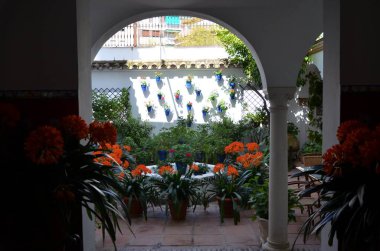 İlkbaharda çiçeklerle dolu balkonlar, Cordoba, İspanya