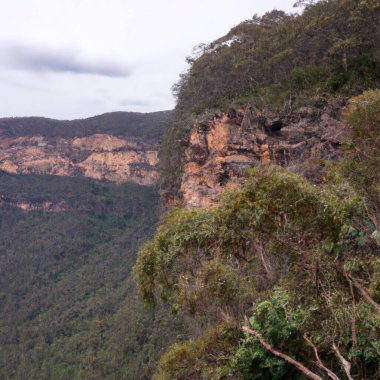 Mavi Dağlar Ulusal Parkı, Yeni Güney Galler