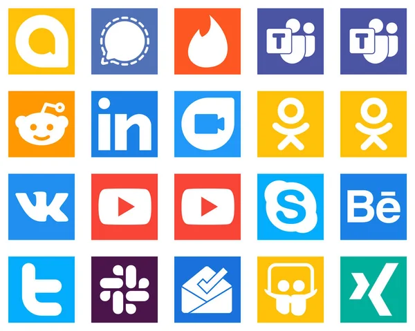 Professional Social Media Icons Behance Skype Linkedin Video Icons Minimalist — Stockvektor