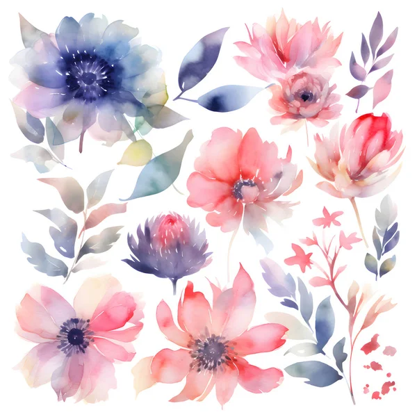 Set Watercolor Flowers Isolated White Background — Stock Photo, Image