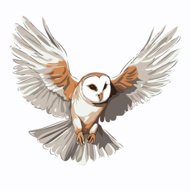 Baykuş uçuyor. Beyaz arkaplanda izole edilmiş vektör illüstrasyonu.