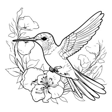 Çiçekli ve yapraklı sinekkuşu. Yetişkinler için boyama kitabı. Vektör illüstrasyonu.