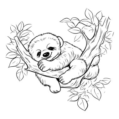 Ağaç dalında uyuyan tembel hayvan. Vektör illüstrasyonu.