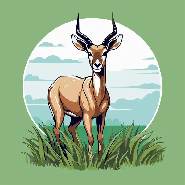 Antelope Debout Sur Herbe Dans Champ Illustration Vectorielle — Image vectorielle