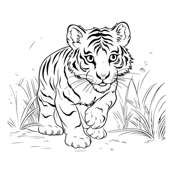 草の中の虎 カラーブックのための黒と白のベクトルイラスト — ストックベクタ