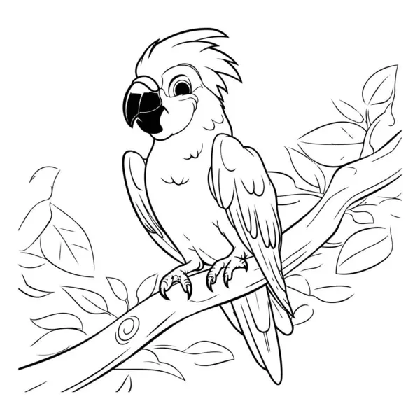 Parrot Sitting Branch Coloring Book Adults — Stock Vector