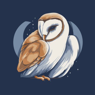 Karanlık arka planda bir baykuş tasviri. Vektör illüstrasyonu.