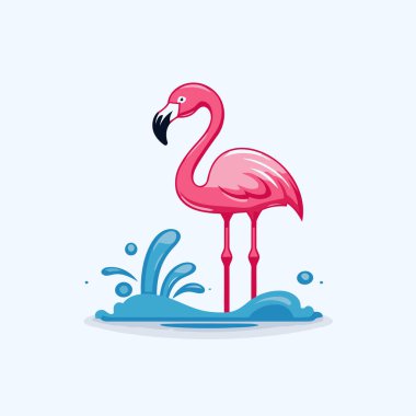 Flamingo ve biraz su. Vektör düz resimleme.