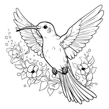 Çiçekli el çizimi sinekkuşu. Vektör çizimi. Renk sayfası.