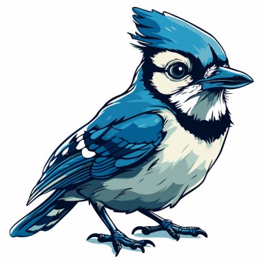 Mavi alakarga kuşu. Mavi kuş vektör illüstrasyonuName.