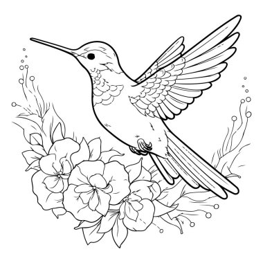 Sinek kuşu ve çiçeklerle boyama sayfası. Yetişkinler ve çocuklar için boyama kitabı.