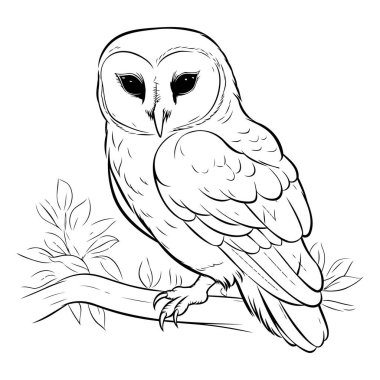 Baykuş bir dalda oturuyor. Yetişkinler için boyama kitabı. Vektör illüstrasyonu.