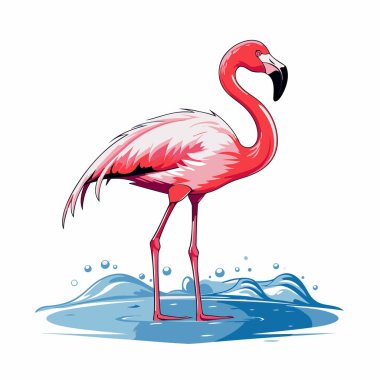 Flamingo suda. Bir flamingonun vektör illüstrasyonu.