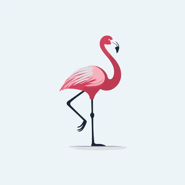 Flamingo Bird Vector Illustration Isolated White Background Flat Style — Stock Vector