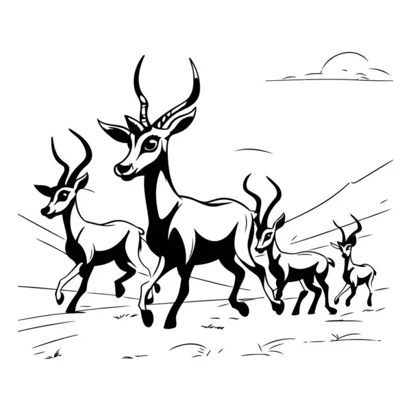 Bir Antilop Sürüsünün Siyah Beyaz Çizimi — Stok Vektör