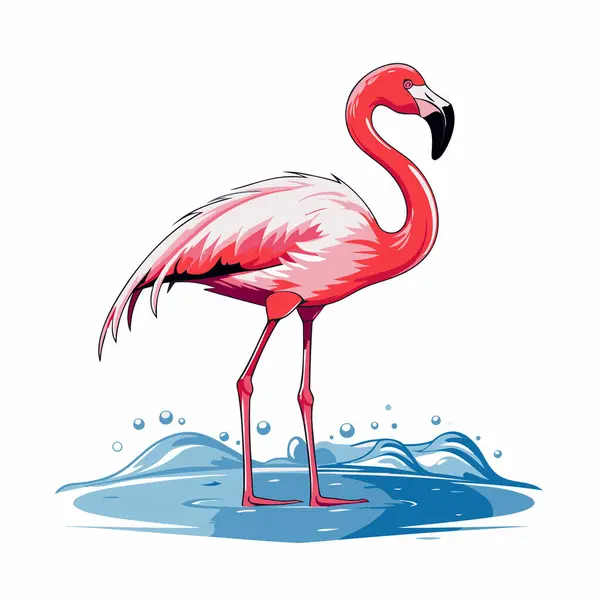Flamingo Suda Bir Flamingonun Vektör Illüstrasyonu — Stok Vektör
