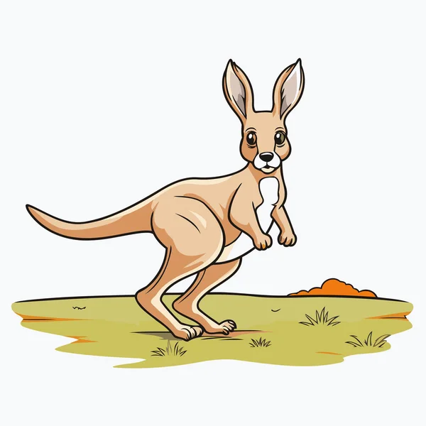 Çimlerin Üzerinde Kanguru Bir Kangurunun Vektör Çizimi — Stok Vektör