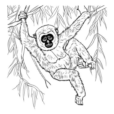 Vektör el, ağaç dalında asılı duran bir şablonun çizimi.