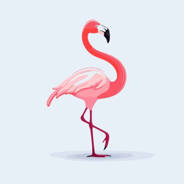 Flamingo vektör çizimi. Mavi arkaplanda flamingo.