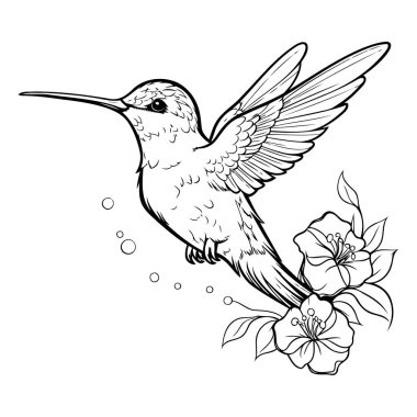 Çiçekli sinekkuşu. Yetişkinler için boyama kitabı. Vektör illüstrasyonu.