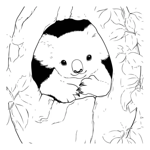 Koala Hollow Tree Sketch Your Design — Stock Vector