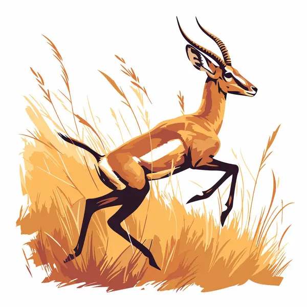 Impala Het Gras Vector Illustratie Geïsoleerd Witte Achtergrond — Stockvector